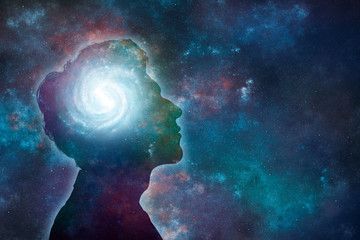 什么是生物的种和界？